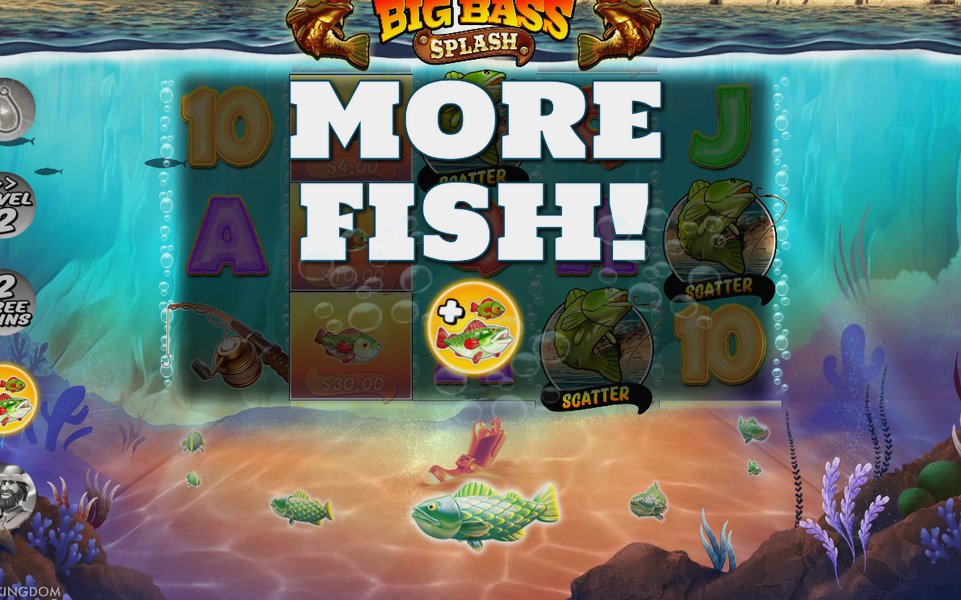 MONEY fish values filling and the collection multiplier rising